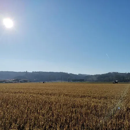 Hotel16 By Messe & Stadion Suisse In Minuten & Late Check-in